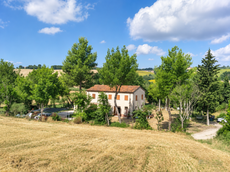 Foto JESI Rustico/Casa Colonica - VENDESI