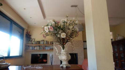 Foto 36