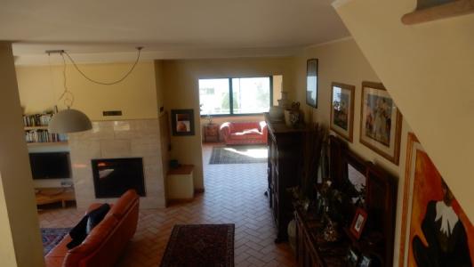 Foto 40