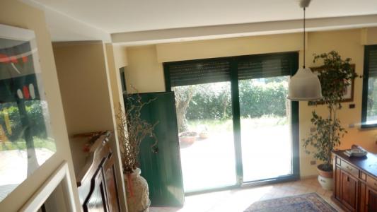 Foto 41