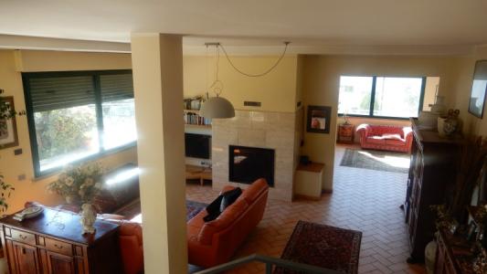 Foto 42