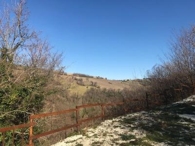 Foto 19