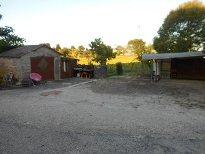 Foto 41