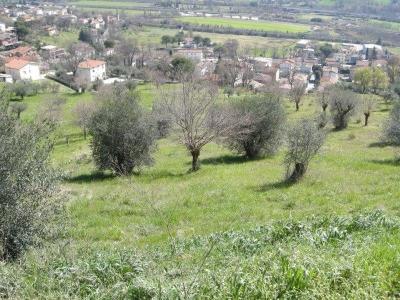 Foto 16