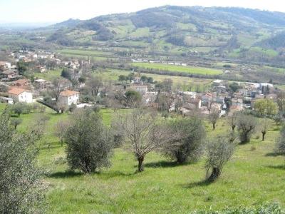 Foto 17
