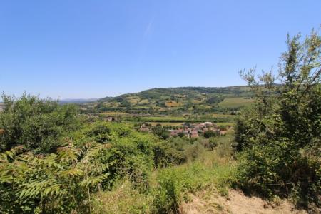 Foto 19