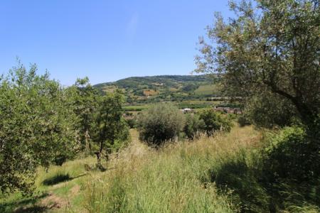 Foto 23