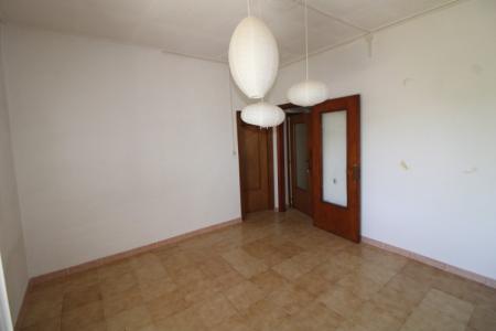 Foto 41